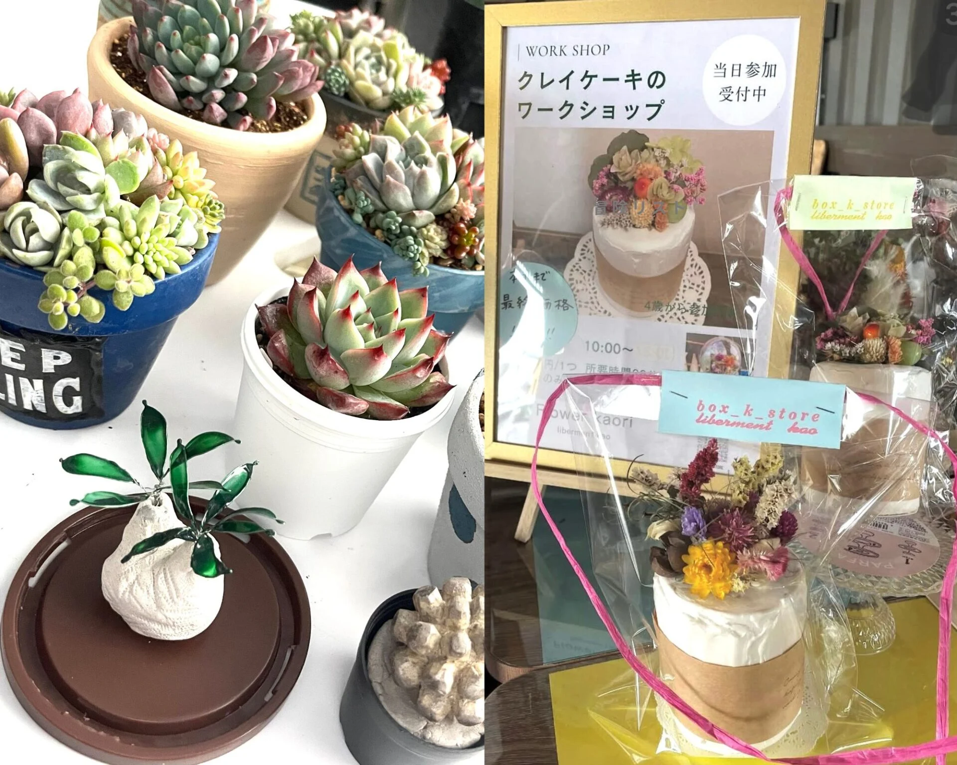 ドライフラワーと多肉植物の物販と日替WS