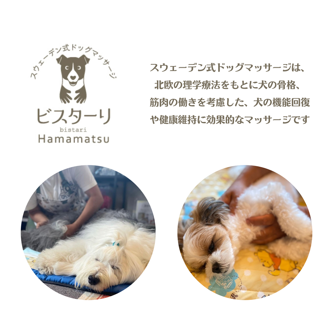 スウェーデン式ドッグマッサージ&ペット防災